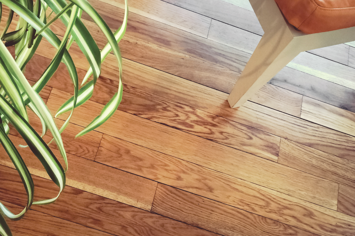 Hardwood Floor Repair