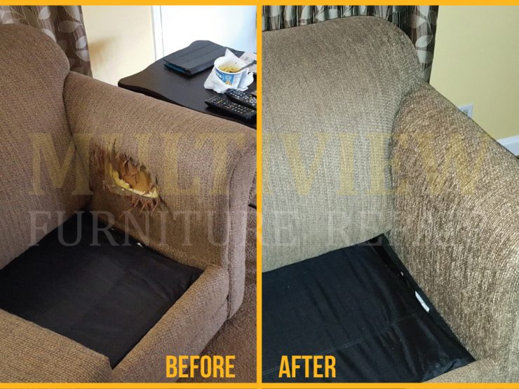 Pet Damage Multiview Furniture Repair Pet Damage Multiview Furniture Repair
